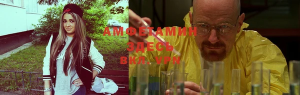 apvp Вязьма