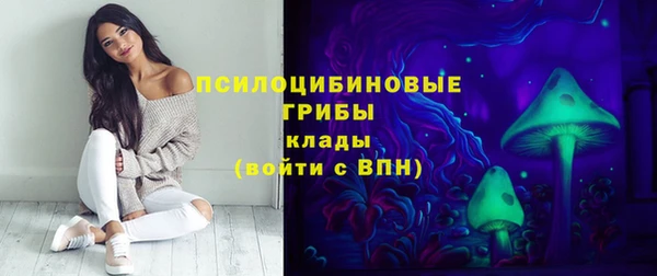 mix Вяземский