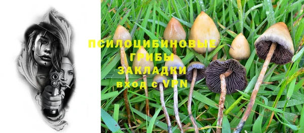 mix Вяземский