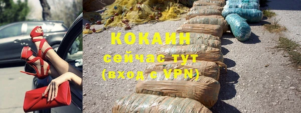 PSILOCYBIN Вязники