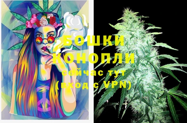 PSILOCYBIN Вязники