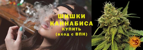 PSILOCYBIN Вязники